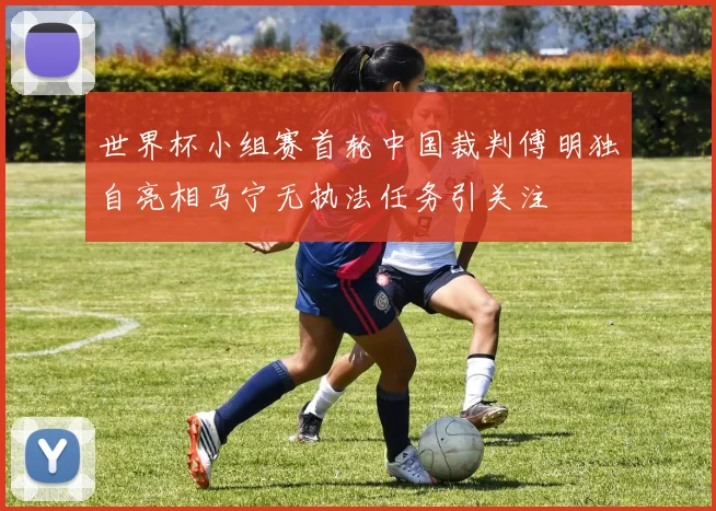 世界杯小组赛首轮中国裁判傅明独自亮相马宁无执法任务引关注